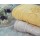 Jacquard beautiful border plain colour velvet towel 100% cotton good design,Towel with Double Border,Double Border Hotel Towel