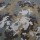 Rayon65/Cotton35 Water Reppellent Fabric Ripstop Digital Woodland Camouflage Printed for Military Uniform