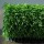 20mm Artificial Grass/Tuft/Lawn Made in China for Home Decoration China Manufacturer Synthetic Grass Fake Grass Cheap Price High Quality Landscaping