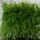 20mm Artificial Grass/Tuft/Lawn Made in China for Home Decoration China Manufacturer Synthetic Grass Fake Grass Cheap Price High Quality Landscaping