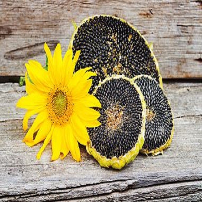 What are the benefits of sunflower seeds?