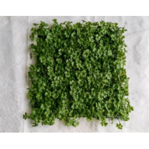 Artificial Plant wall Four-leaved clover Environmentally friendly and beautiful landscape wall.