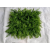 Artificial Plant Wall Mixed grass Environmentally friendly and beautiful landscape wall