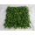 Artificial plant wall lucky grass Environmentally friendly and beautiful landscape wall.