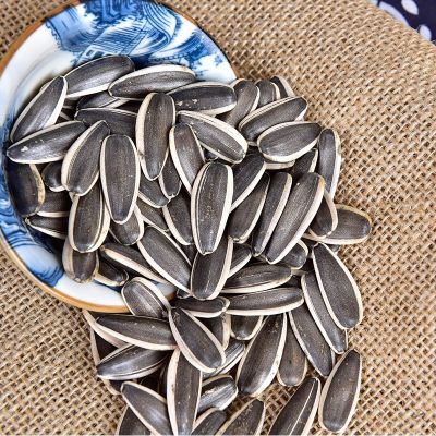Inner Mongolia raw sunflower seeds Fresh sunflower seeds 363