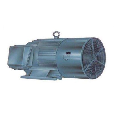 YPT Series Motor for belt conveyor application