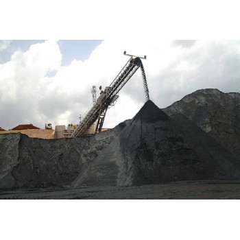 Stacker Conveyor Equipment Radial Stacking Belt Conveyor for Power Plants and Mining Industry