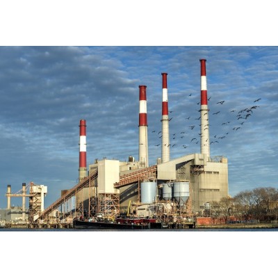 Bulk material handling belt conveyor systems for electrical power plant