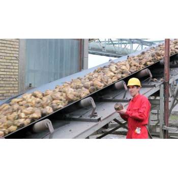 Sugar Belt Conveyor Systems for Sugar Mill
