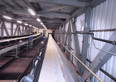 Flexibility Belt Conveyor for Fertilizer Industry