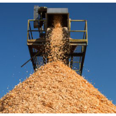 Wood Chips Stockpiling Belt Conveyors ued in Pulpwood Logs Crushing Plant