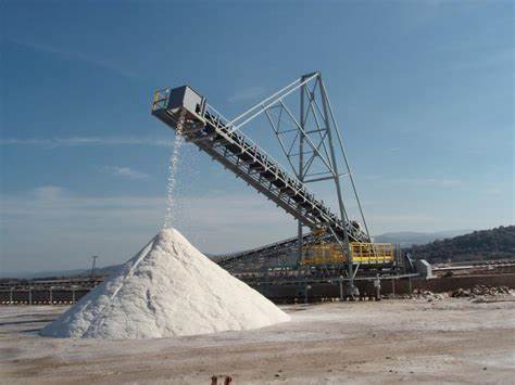 Salt Belt Conveyor used in Mining And Processing Plant