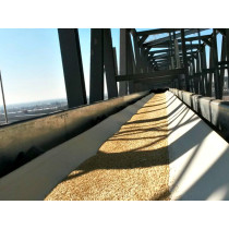 Large Scale Grain Belt Conveyor for Stacking Corn, Rice，Wheat