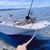 Cómo encontrar la marca y el modelo de su remolque para barco | Fabricante de piezas y accesorios Haway