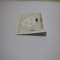 Earrings Studs Fashion Card