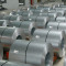 Price of hot dip galvanized steel coil ss400b