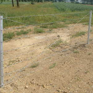 JFN China barbed wire fence for safety area