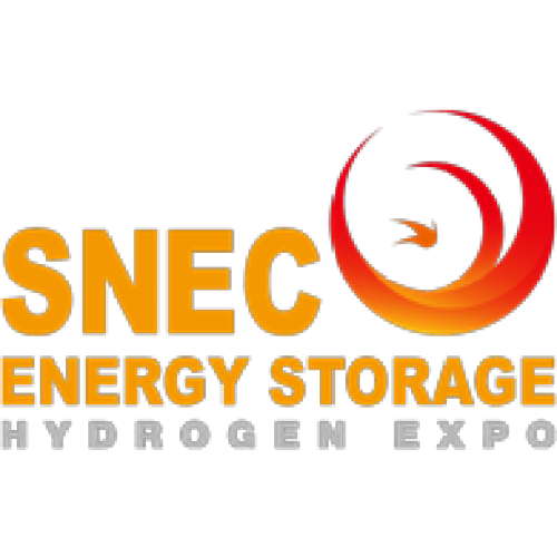 SNEC 2020