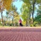 Rubber running track for jogging park |  jogging track material | jogging track flooring