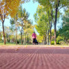 Chinese Park jogging track rubber flooring jogging track material