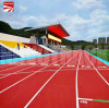 NovoTrack: A Vibrant New Chapter for Longjiang Park Stadium