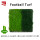 Football Turf | S-Shape Infilled Sports Turf