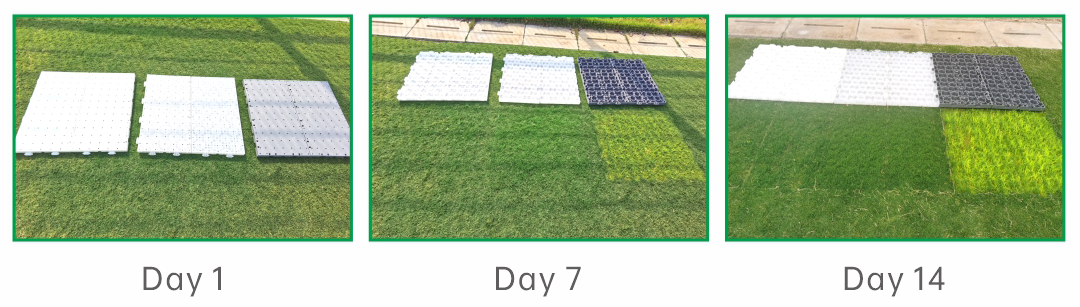 Lawn Protection Board
