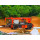 30m3/hr Truck Mounted Wet Concrete Robot Spraying Machine, Shotcrete Pump