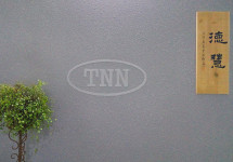The TNN Development Limited