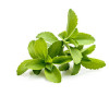 Why Stevia Erythritol Blend and Monkfruit Erythritol Blend is popular?