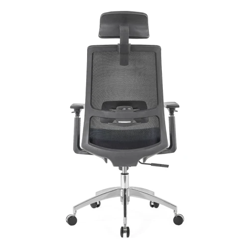 Reclining Ergonomic Chair | Lifting Executive Chair For Office Supplier in China