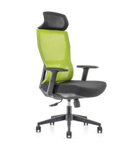 Chaise de direction en maille à dossier haut avec base en nylon, accoudoir en PU, appui-tête réglable en hauteur (YF-GA15-vert)
