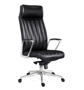 Wholesale Leather High-back Executive Office Chair (YF-A909)