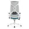 High Back Office Mesh Executive Chair With PP Back Frame(YF-A229H-01)