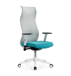 High back ergonomic executive chair | Reclining and rotating design(YF-A229H-01)