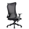 Ergonomic Chair With Lumbar Support | Adjustable Chair For Office China Supplier(YF-A2233)
