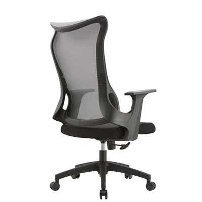 Ergonomic Chair