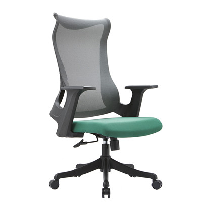 Ergonomic Chair