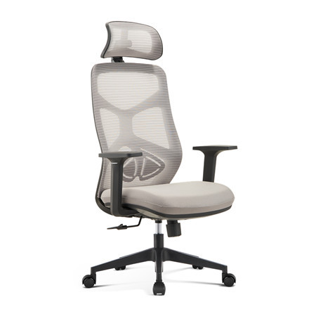 Ergonomic Mesh Chair