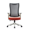 Ergonomic Mesh High Back Chair | Swivel Chair With Arms  For Office Supplier(YF-AH2233)