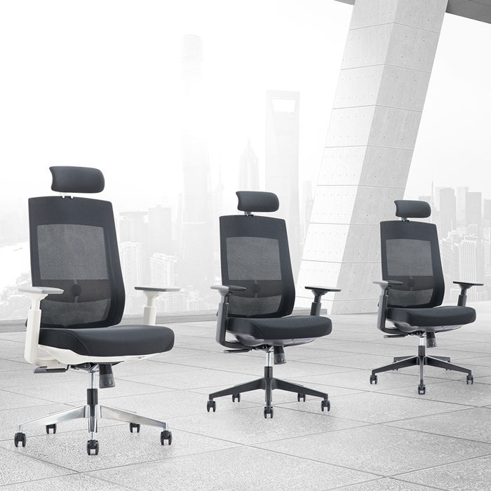 Comfort and health - Executive office chair
