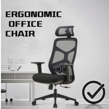 Sitting for eight hours a day. How's your back? -- How can a good office chair save your health