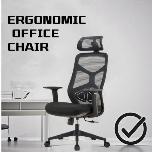 Sitting for eight hours a day. How's your back? -- How can a good office chair save your health