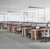 Why are task office chairs so popular? Reveal the secret to a productive office