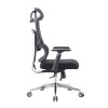 Mesh Office Executive Chairs with Lumbar Support Design | Ideal Solutions for Wholesalers and Dealers