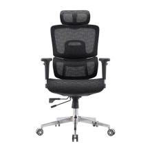 Mesh Office Executive Chairs with Lumbar Support Design | Ideal Solutions for Wholesalers and Dealers