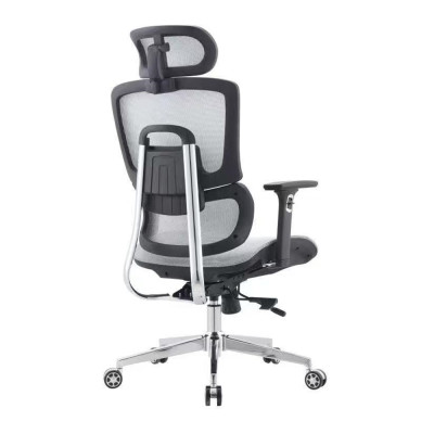 Mesh Office Executive Chairs with Lumbar Support Design | Ideal Solutions for Wholesalers and Dealers