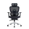 Wholesale Mesh Office Executive Chairs with Lumbar Support Design |  Perfect Lunch Break Chair for Professionals