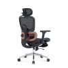 Wholesale Mesh Office Executive Chairs with Lumbar Support Design | Perfect Lunch Break Chair for Professionals