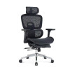 Wholesale Mesh Office Executive Chairs with Lumbar Support Design |  Perfect Lunch Break Chair for Professionals